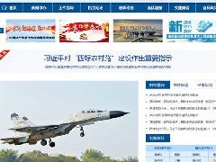 日喀則空軍某部網(wǎng)站制做